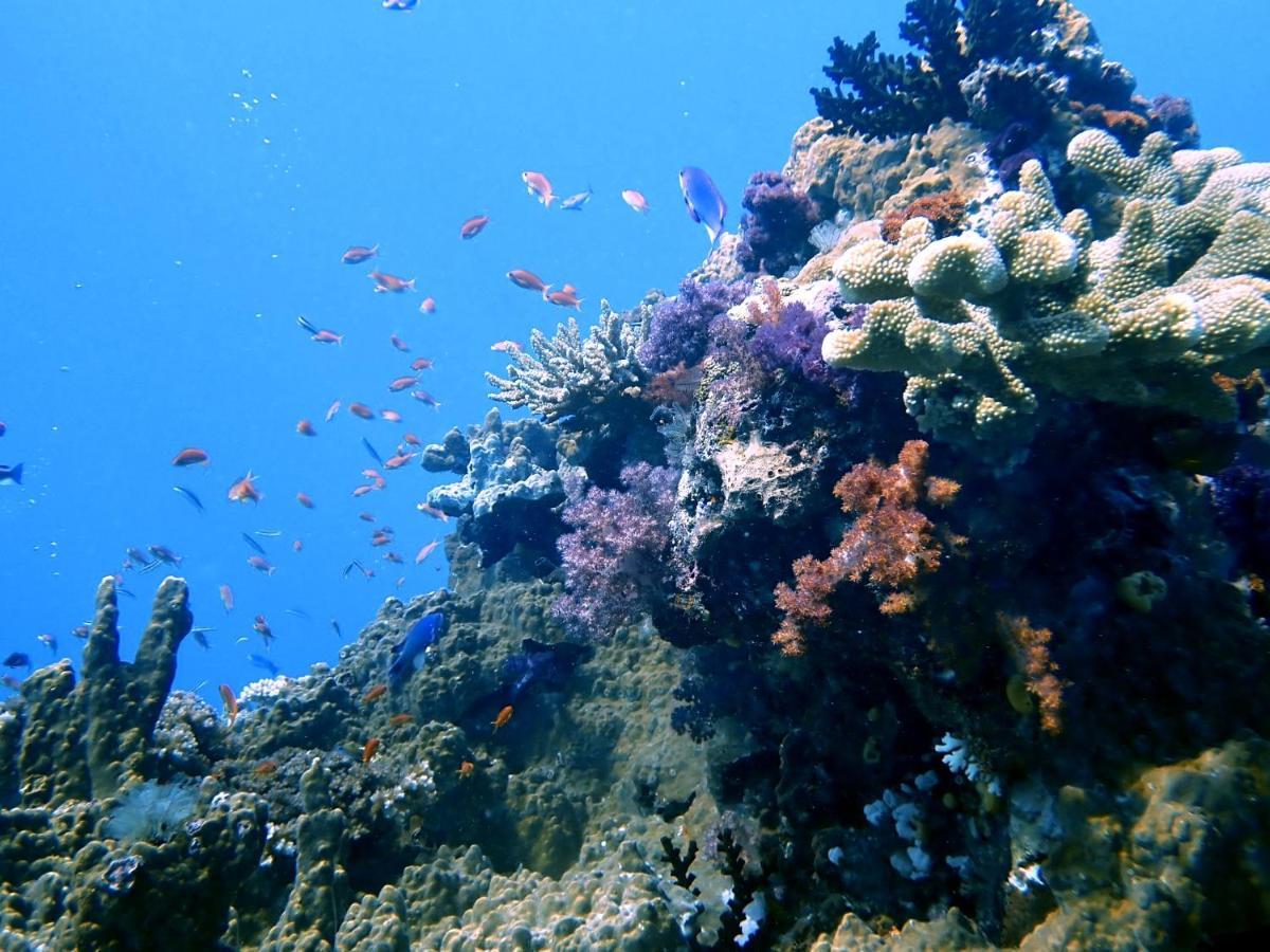 Sau Bay Resort & Spa Waiyevo Luaran gambar