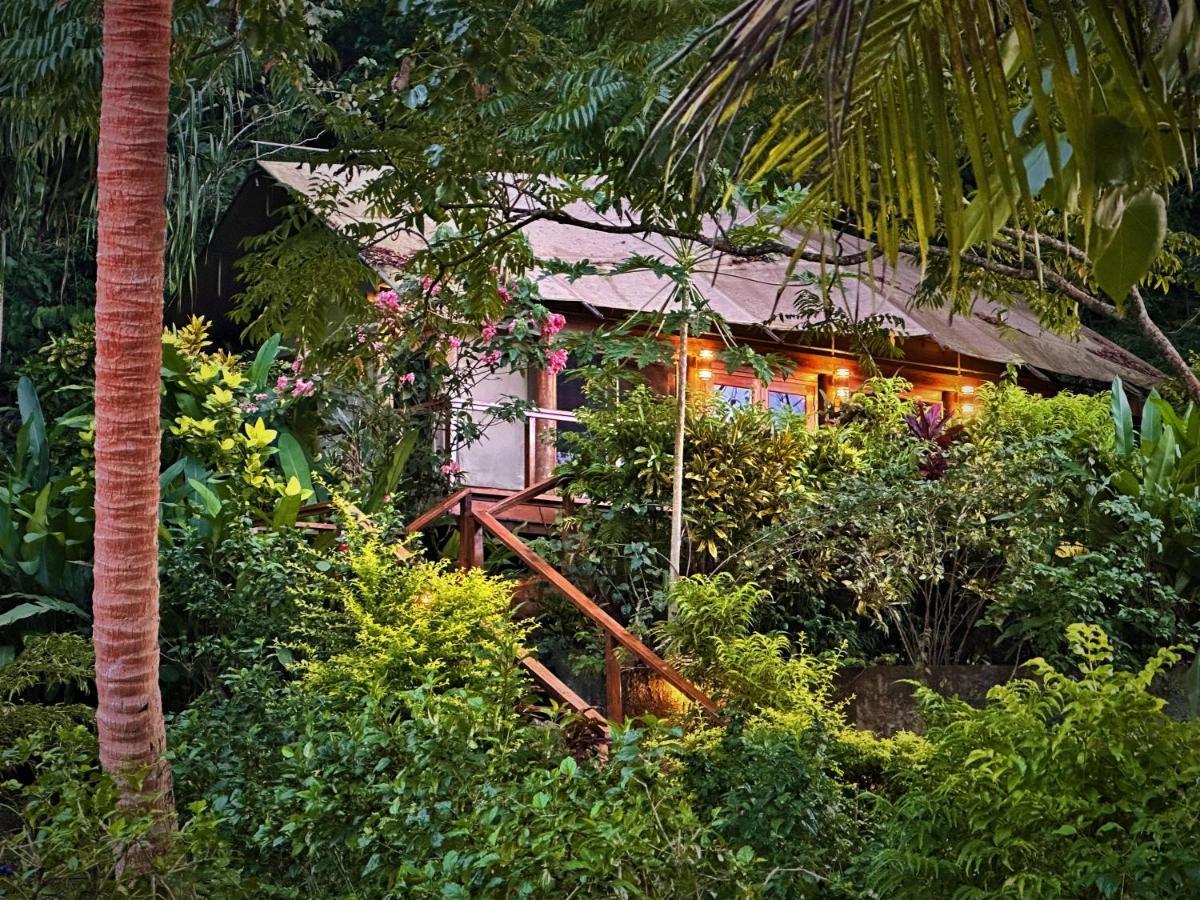 Sau Bay Resort & Spa Waiyevo Luaran gambar